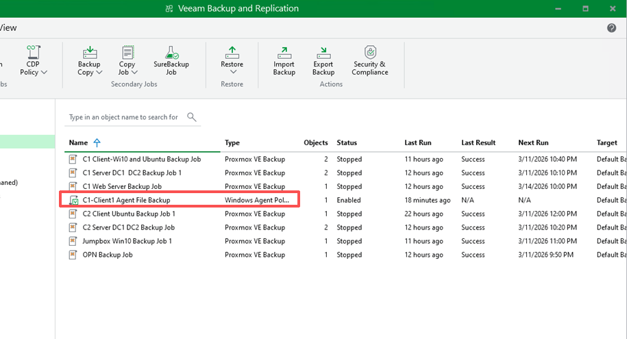 Veeam backup job overview for the primary environment